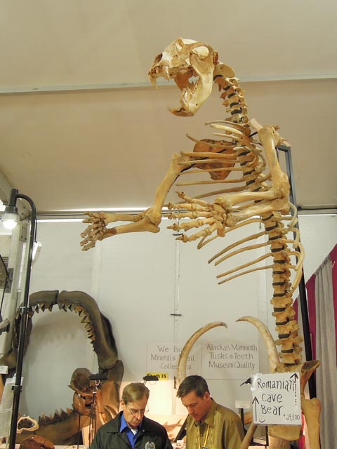 dscn0701