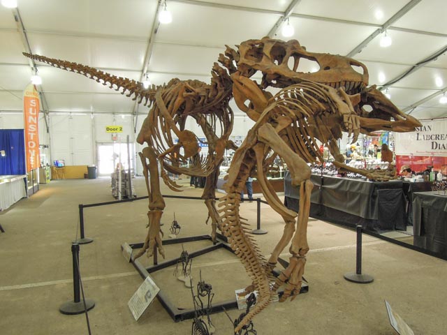 dscn0705