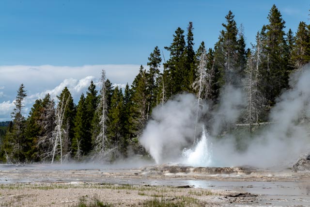 _DSC0123